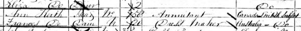 Census Anne