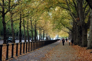 Greenwich