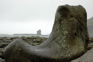 Giant's Causeway