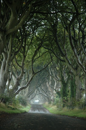 Bregagh Road