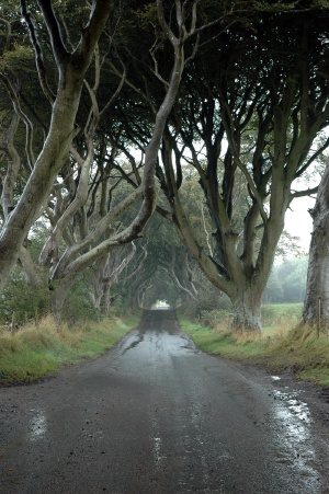 Bregagh Road
