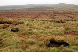 Glenaan