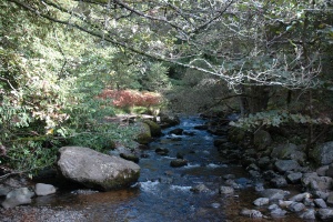 Aira Force