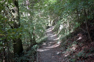 Aira Force