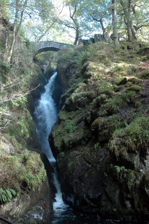 Aira Force