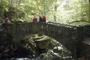 Aira Force