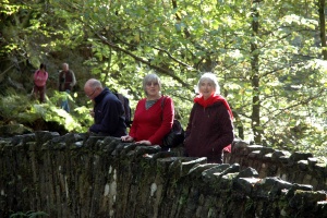 Aira Force