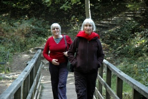 Aira Force