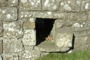 Hadrian's Wall