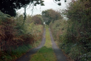 Tulla